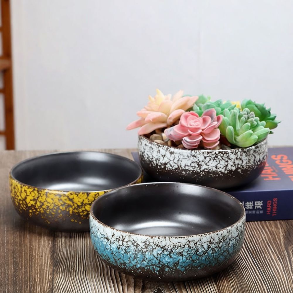 Large Mouth Ceramic Succulent  - Bonsai Garden Art ulasan dan harga